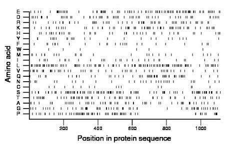 amino acid map