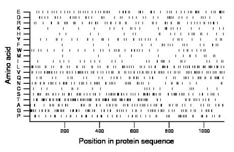 amino acid map