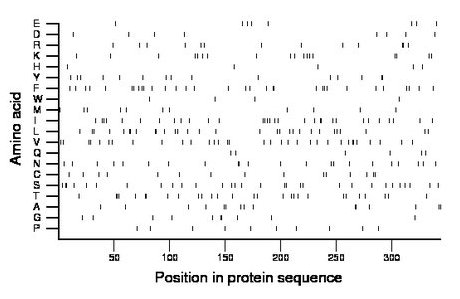 amino acid map