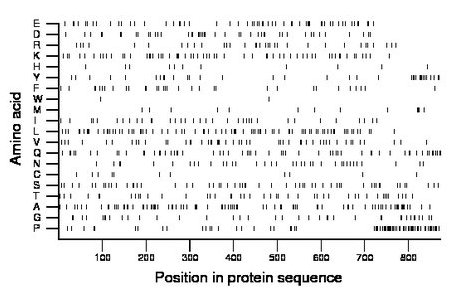 amino acid map