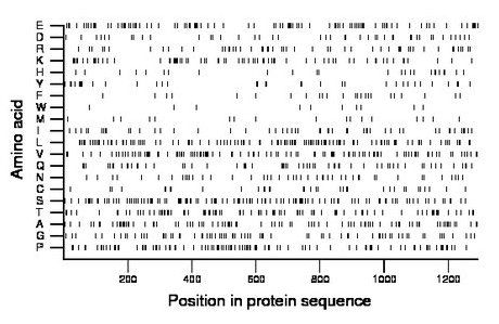 amino acid map