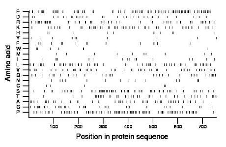 amino acid map