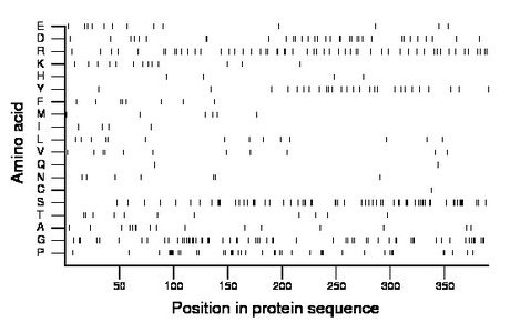 amino acid map