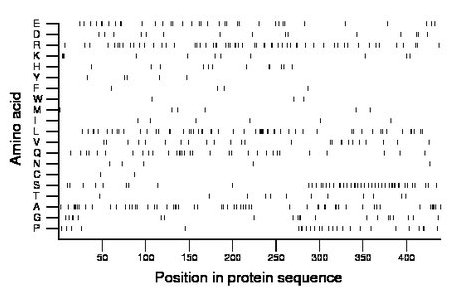 amino acid map