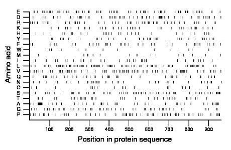 amino acid map