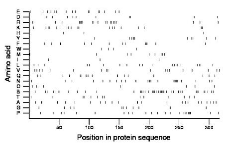 amino acid map