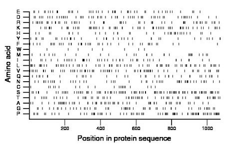 amino acid map