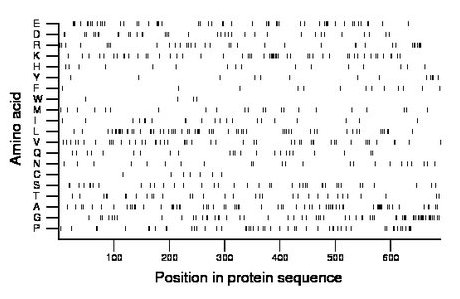 amino acid map