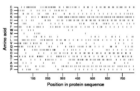 amino acid map