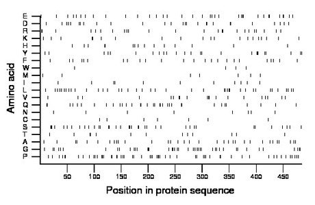 amino acid map