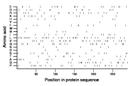 amino acid map