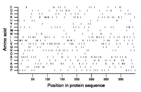 amino acid map