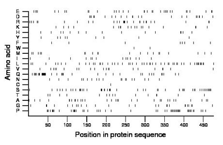 amino acid map