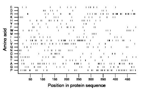 amino acid map