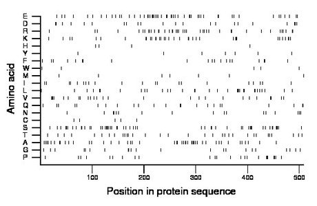 amino acid map