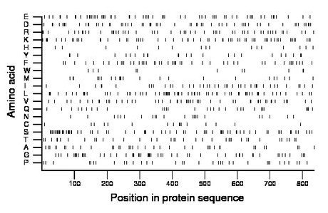 amino acid map