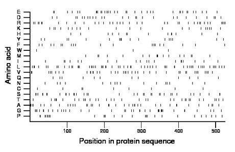 amino acid map