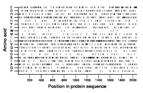 amino acid map