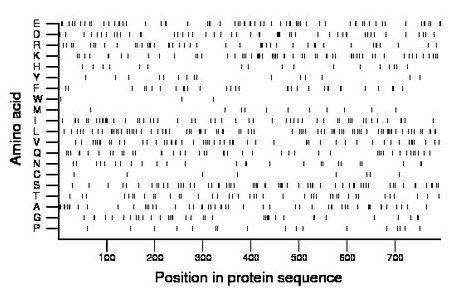 amino acid map