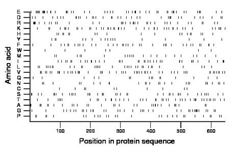 amino acid map