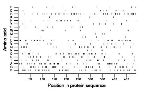 amino acid map