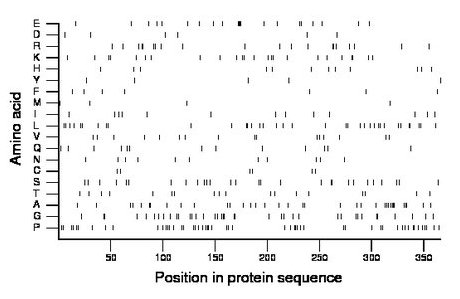 amino acid map