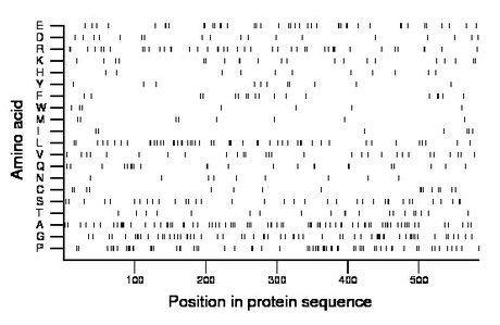 amino acid map