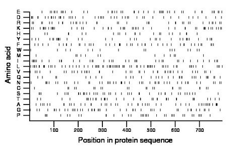 amino acid map