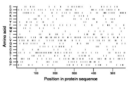 amino acid map