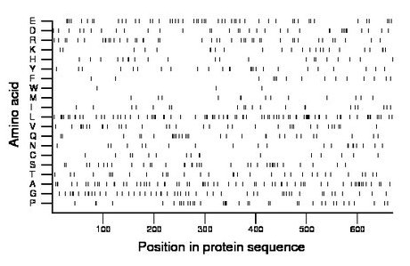 amino acid map