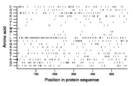 amino acid map