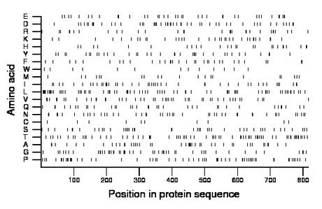 amino acid map