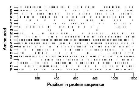 amino acid map