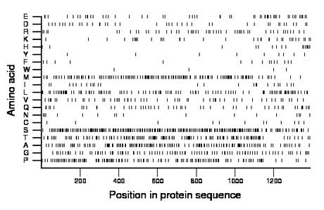 amino acid map