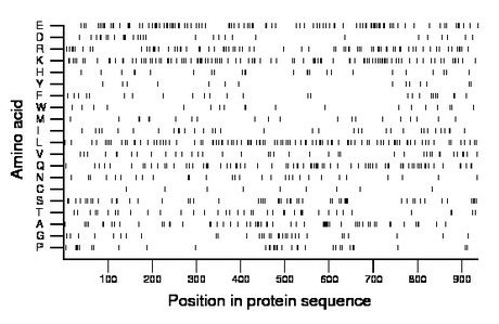 amino acid map