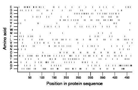 amino acid map