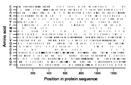 amino acid map