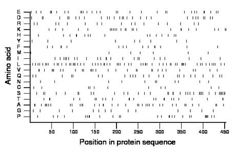 amino acid map