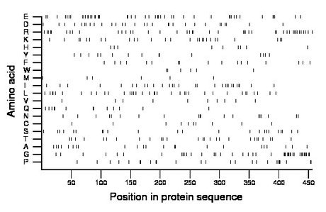 amino acid map