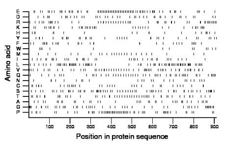 amino acid map