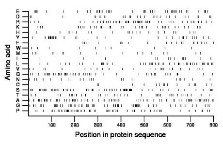 amino acid map