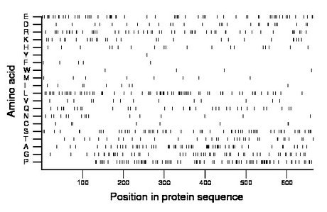 amino acid map