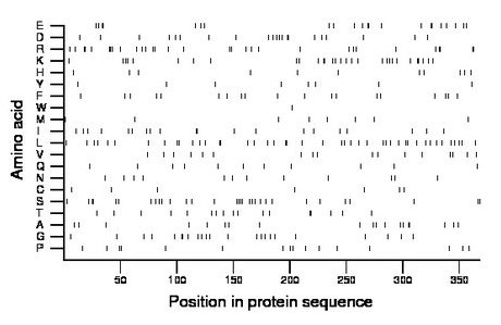 amino acid map