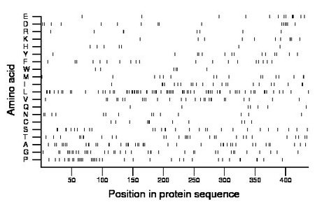 amino acid map