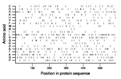 amino acid map