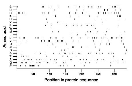 amino acid map