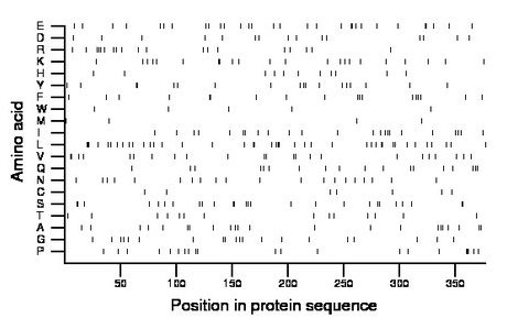 amino acid map