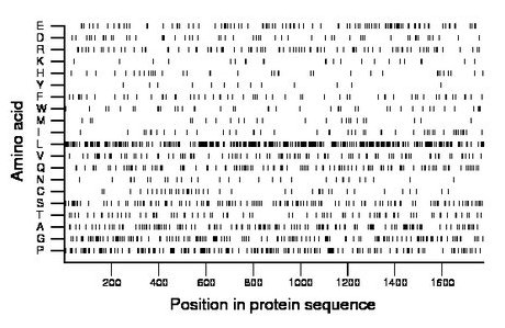 amino acid map