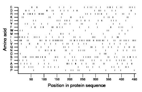 amino acid map