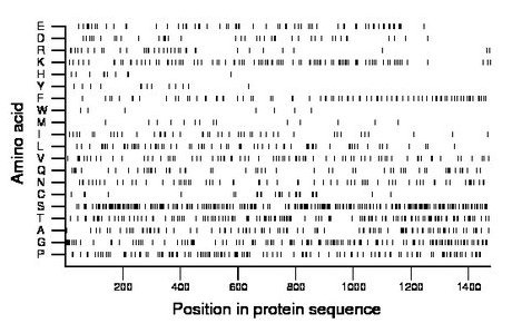 amino acid map